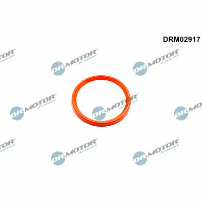 DRM02917
