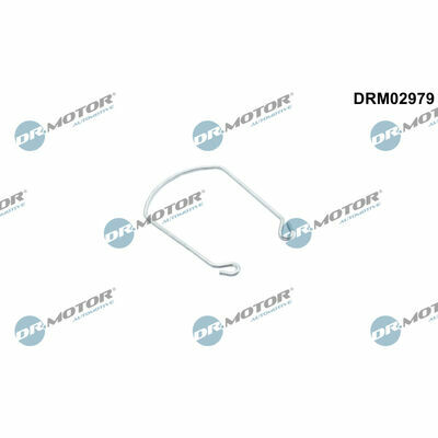 DRM02979