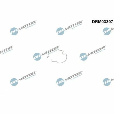 DRM03307