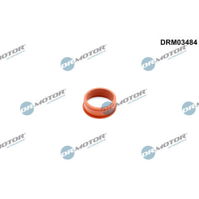 DRM03484
