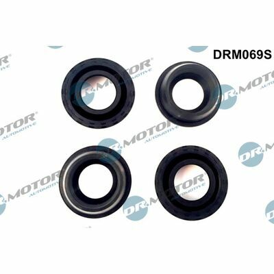 DRM069S