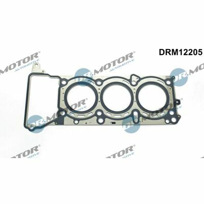 DRM12205