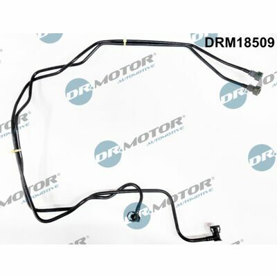 DRM18509