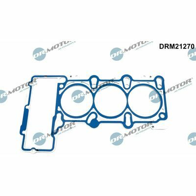 DRM21270