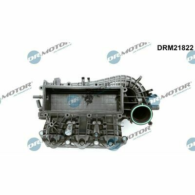 DRM21822
