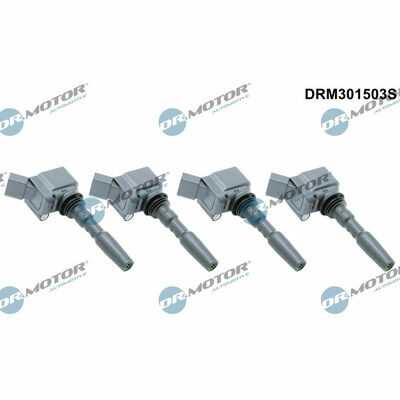 DRM301503S