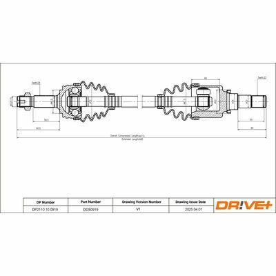 DP2110.10.0919