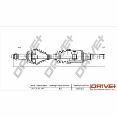 DP2110.10.1004