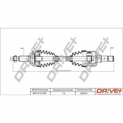 DP2110.10.1022