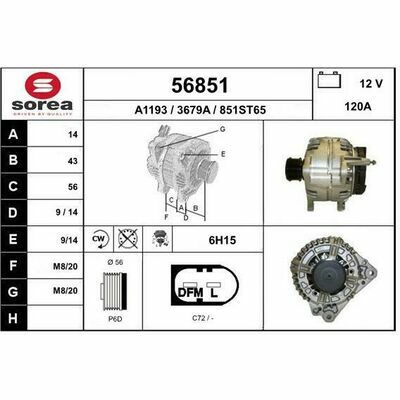 56851