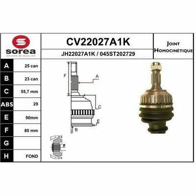 CV22027A1K