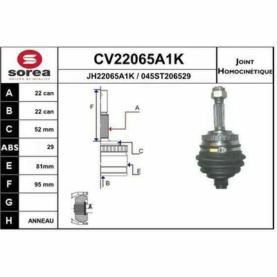 CV22065A1K