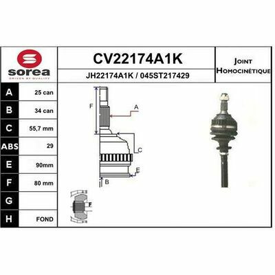 CV22174A1K