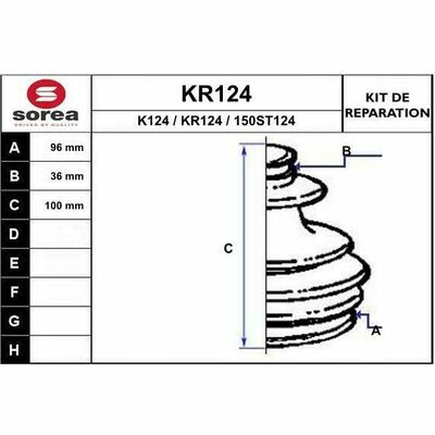 KR124