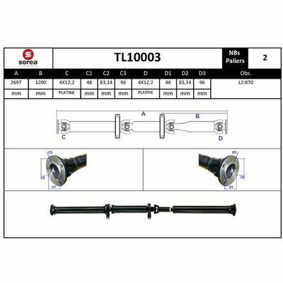 TL10003
