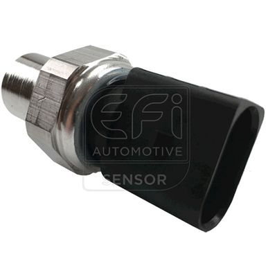 EFI - SENSOR