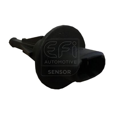 EFI - SENSOR