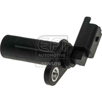 EFI - SENSOR