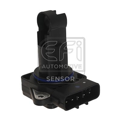 EFI - SENSOR