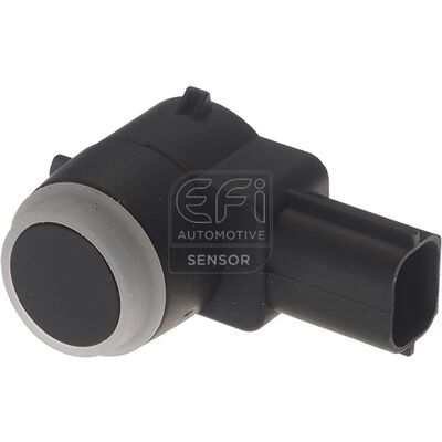 EFI - SENSOR