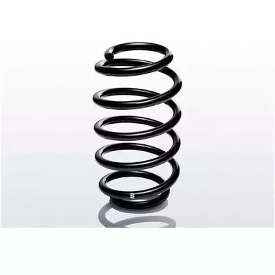 Muelle ERL suelto (OE-sustitucin en serie)