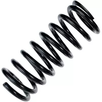 Muelle ERL suelto (OE-sustitucin en serie)