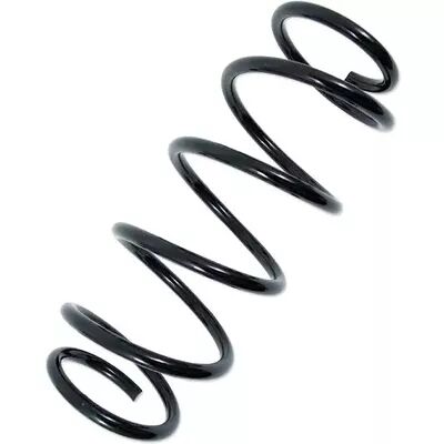 Einzelfeder ERL (Serienersatz)