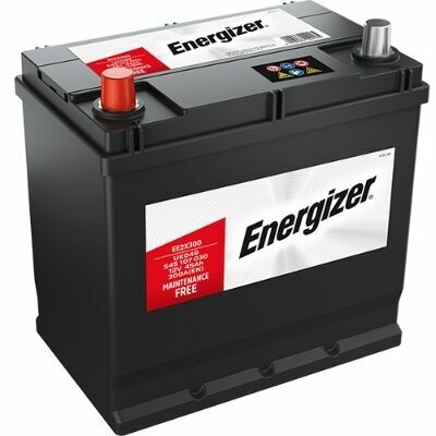 EE2X300