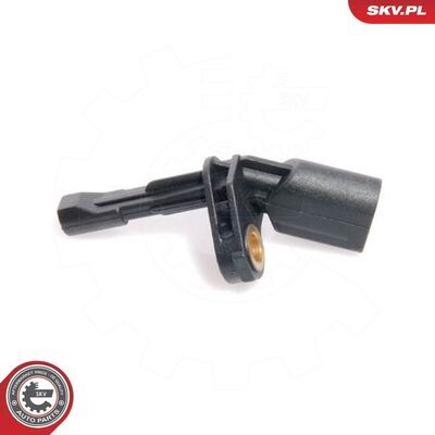 06SKV019
