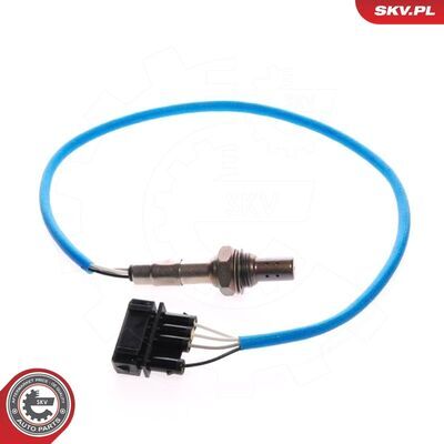 09SKV046
