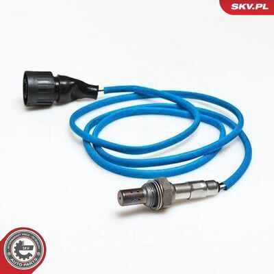 09SKV049
