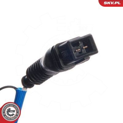 09SKV066