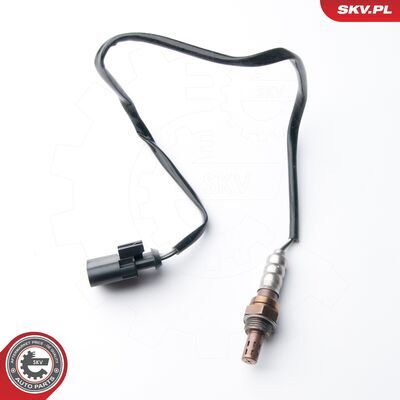 09SKV091