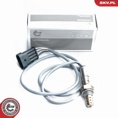 09SKV095