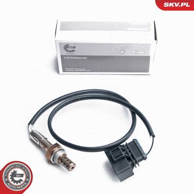 09SKV100