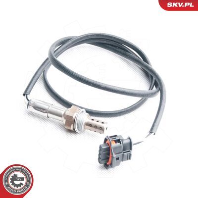 09SKV102