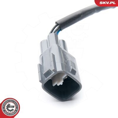 09SKV114