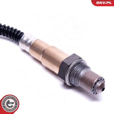 09SKV119
