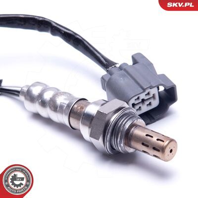 09SKV123