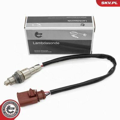 09SKV179