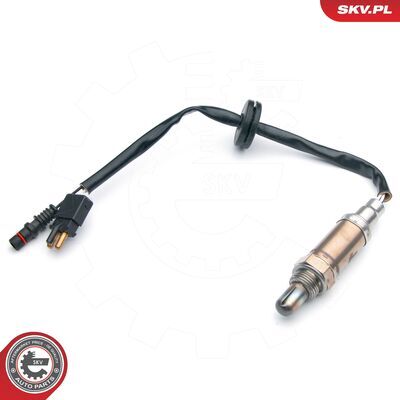 09SKV548