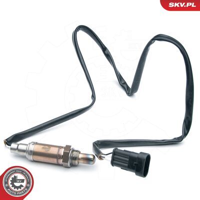 09SKV549
