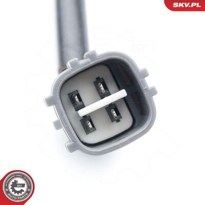 09SKV579