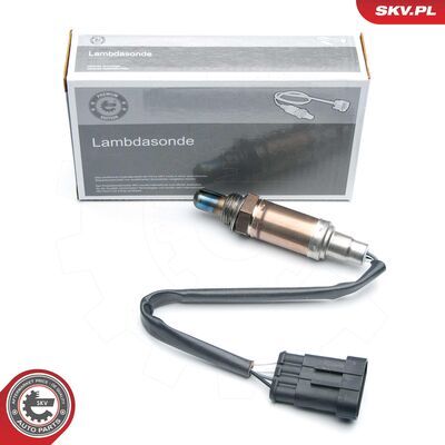 09SKV595
