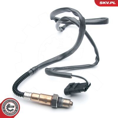 09SKV617
