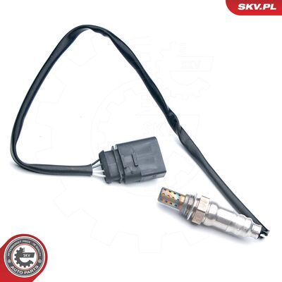 09SKV636