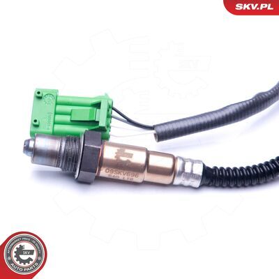 09SKV696