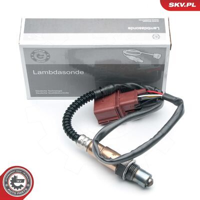 09SKV868
