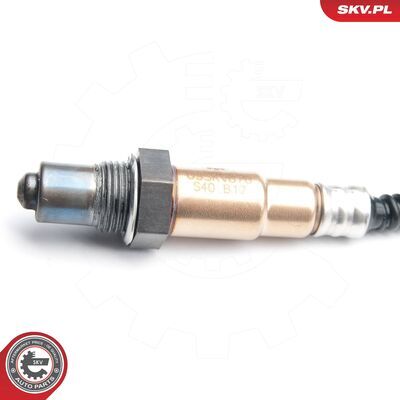 09SKV870
