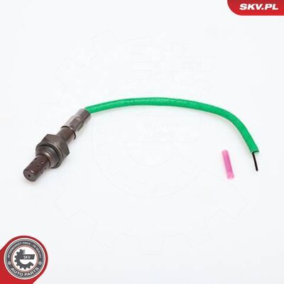 09SKV901